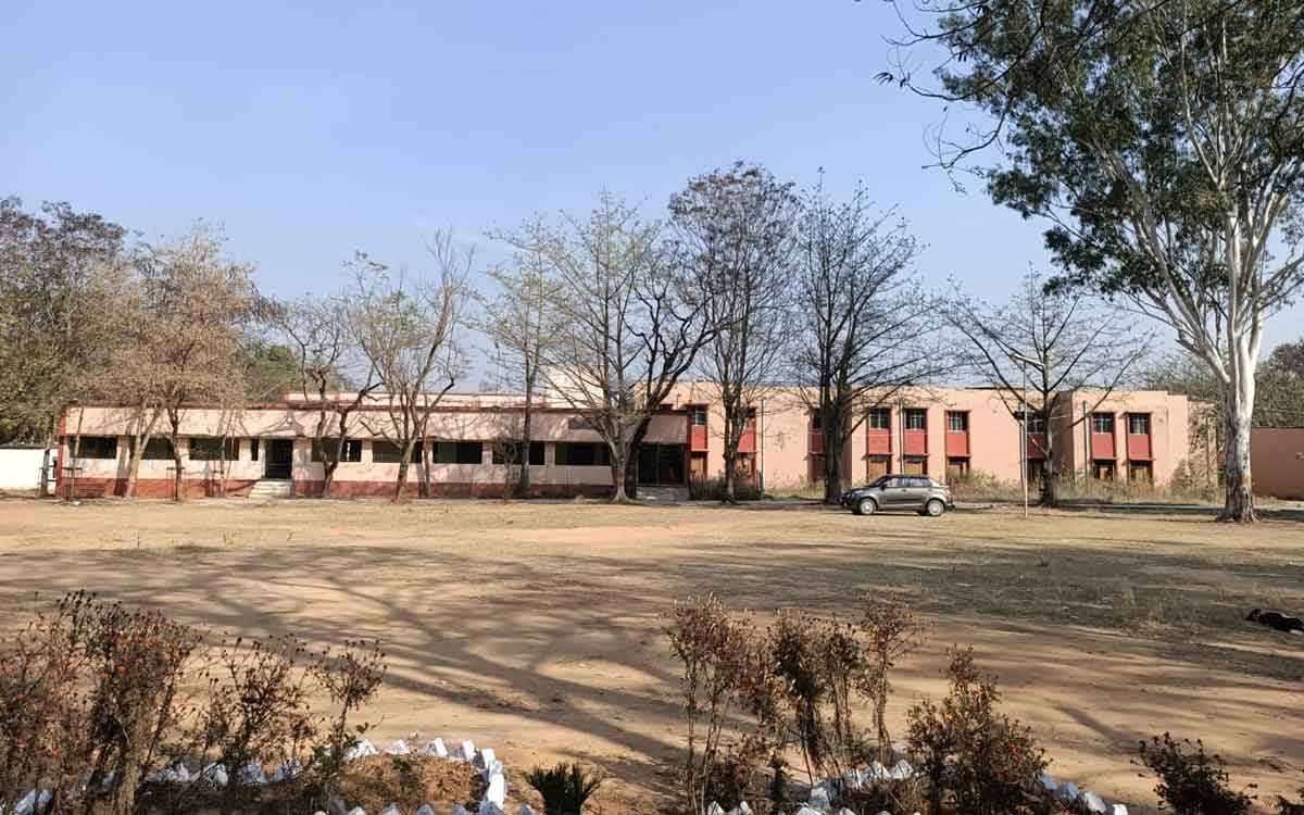 chatra college chatra - B.ED